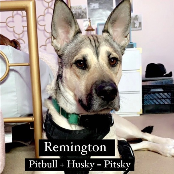 Meet your Posher, Katie :) - Picture 4 of 4